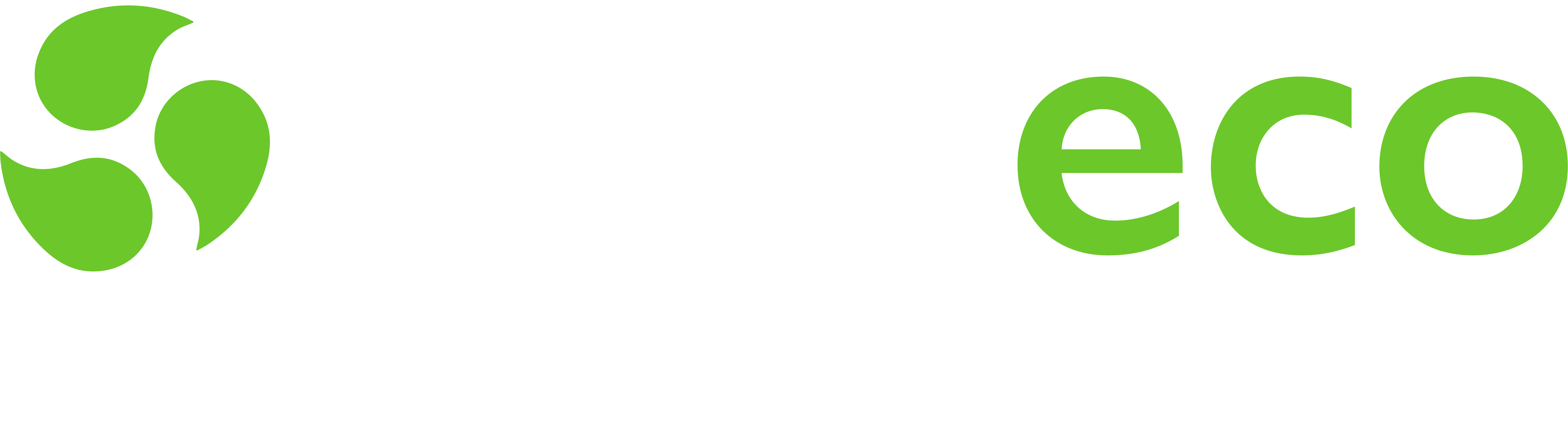 Polyeco Logo